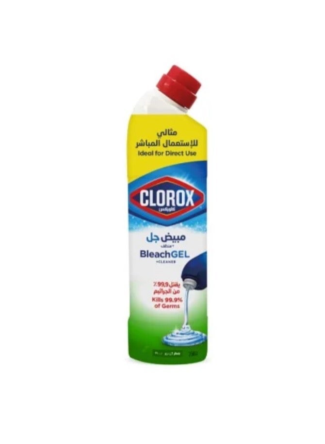 كلوركس مجموعة كلوركس جل منظف متعدد الأستخدام 3*750 مل - Image 3